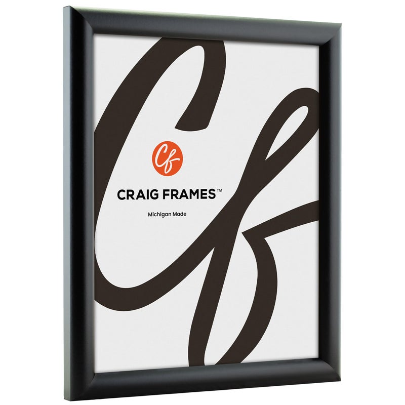 Craig Frames FW2BK 10 x 13-Inch Picture Frame, Smooth Finish, 0.765-Inch Wide, Black - Image 2